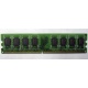 Модуль оперативной памяти 4096Mb DDR2 Patriot PSD24G8002 pc-6400 (800MHz)  (Симферополь)