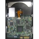 Электроника жёсткого диска 146Gb HP 481653-002 DF146BAFDU (Симферополь)
