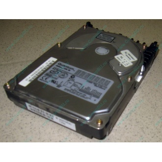 Жесткий диск 18.4Gb Quantum Atlas 10K III U160 SCSI (Симферополь)