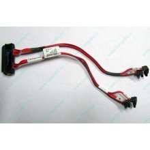 SATA-кабель для корзины HDD HP 451782-001 459190-001 для HP ML310 G5 (Симферополь)