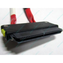 SATA-кабель для корзины HDD HP 451782-001 459190-001 для HP ML310 G5 (Симферополь)