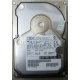 Жесткий диск 18.2Gb IBM Ultrastar DDYS-T18350 Ultra3 SCSI (Симферополь)