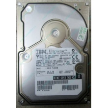 Жесткий диск 18.2Gb IBM Ultrastar DDYS-T18350 Ultra3 SCSI (Симферополь)