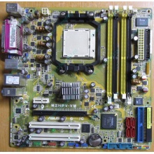 Материнская плата Asus M2NPV-VM socket AM2 (без задней планки-заглушки) - Симферополь