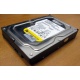 Жесткий диск 160Gb WD WD1602ABKS SATA (Симферополь)