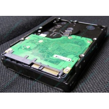 Жесткий диск 600Gb 15k Dell 9FN066-008 6G SAS ( Seagate Cheetach ST3600057SS 15K.7) - Симферополь