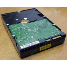 Б/У жёсткий диск 400Gb WD WD4000YR Caviar RE2 7200 rpm SATA  (Симферополь)