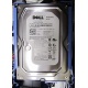 Б/У жёсткий диск Dell SATA (WD WD1601ABYS 7200 rpm) 3.5" HDD (Симферополь)