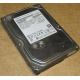 HDD 500Gb Hitachi HDS721050DLE630 донор на запчасти (Симферополь)