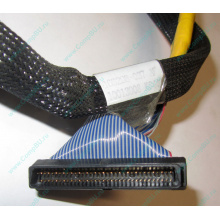 Кабель SCSI HP 166298-037 для HP ML370 G4 (Симферополь)