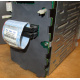 HP 365664-001 кабель SCSI для корзины 373108-001 / 359719-001 HP ML370G4 (Симферополь)