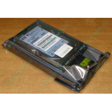 Жёсткий диск 146.8Gb HP 365695-008 404708-001 BD14689BB9 256716-B22 MAW3147NC 10000 rpm Ultra320 Wide SCSI купить в Симферополе, цена (Симферополь).