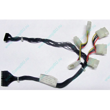 59P4789 FRU 59P4792 в Симферополе, кабель IBM 59P4789 FRU 59P4792 для серверов X225 (Симферополь)