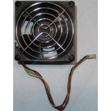 Вентилятор EFB0812HHE IBM 59P23B1 FRU 59P2572 (Симферополь)