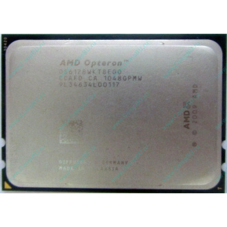AMD Opteron 6128 OS6128WKT8EGO (Симферополь)