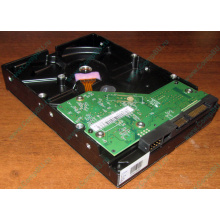 Жесткий диск 500Gb WD WD5000AAKX HP 634605-003 613208-001 7.2k SATA (Симферополь)