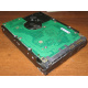 Жесткий диск 300Gb 15k Seagate Cheetach ST3300656SS 15K.6 Dell 9CH066-050 6G SAS (Симферополь)