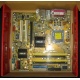 Материнская плата Asus P5L-VM 1394 s.775 (Симферополь)